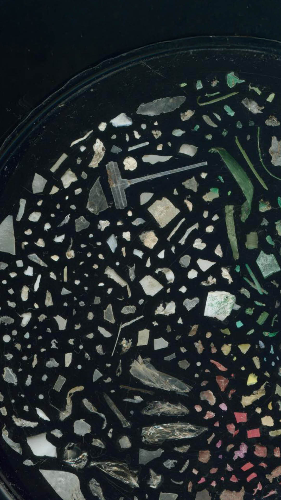 All the latest info about the project at #SurfingForScience